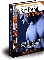 Burn the Fat Book Cover