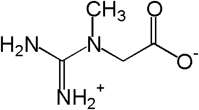 What is creatine? Creatine information and molecule structure.