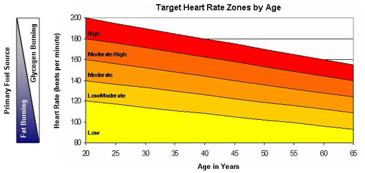 heart rate zones by age,