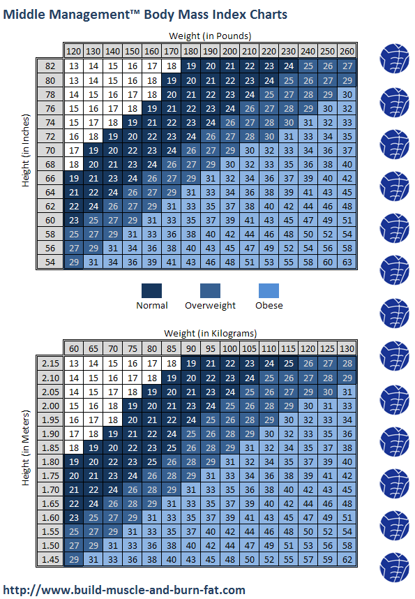 Use this BMI chart to calculate your approximate body mass index.