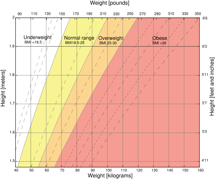 BMI chart estimates body mass index.