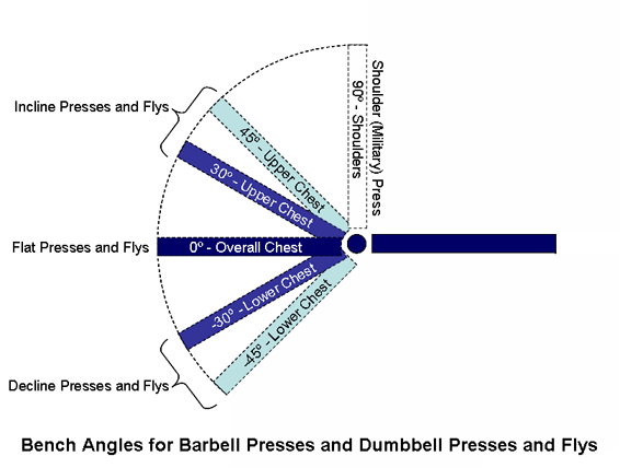 Free Workout Plan - Chest Workout Bench Angle
